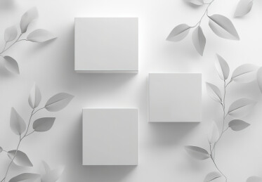 正上方白色背景的树叶和信封的照片