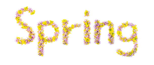 白背景上鲜花拼成的spring花字体