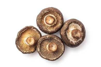 白色背景下蘑菇的高角度视图