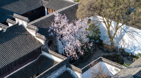 江南园林留园亭台楼阁航拍