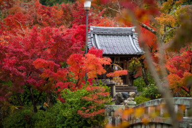亚洲日本京都府禅林寺的风光