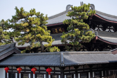 江苏省扬州市大明寺戒台 古建筑和松树