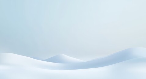 冬日雪地的宁静与纯净