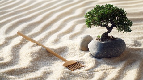 平滑卵石与沙纹盆景