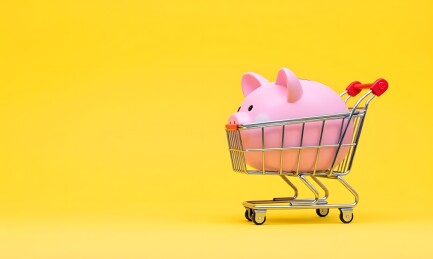 存钱购物车里边放个猪