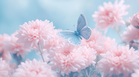 蝴蝶在花上授粉的特写镜头