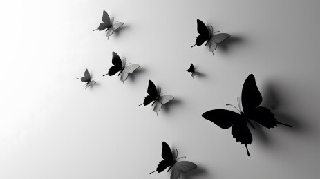 黑白蝴蝶群像