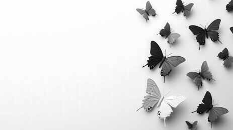 黑白蝴蝶群像