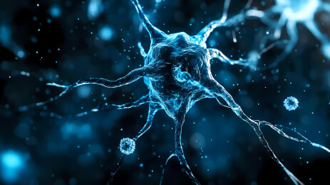 神经元3D渲染图