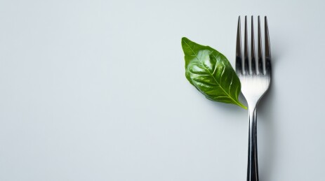 叉子上的罗勒叶食物艺术