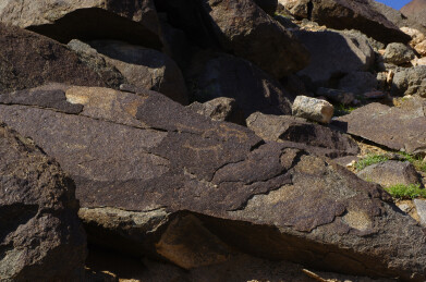 阴山岩画  远古图腾  文化瑰宝