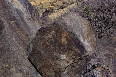 阴山岩画  远古图腾  文化瑰宝