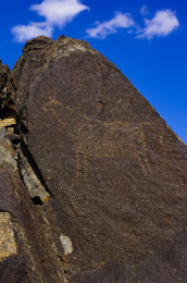 阴山岩画  远古图腾  文化瑰宝