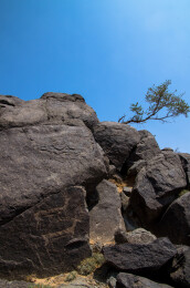 阴山岩画  远古图腾  文化瑰宝