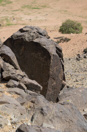 阴山岩画  远古图腾  文化瑰宝