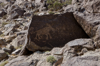 阴山岩画  远古图腾  文化瑰宝