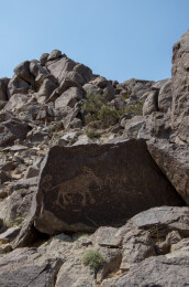 阴山岩画  远古图腾  文化瑰宝