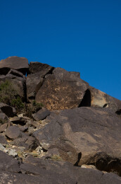 阴山岩画  远古图腾  文化瑰宝