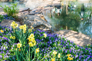 南京中山植物园南园