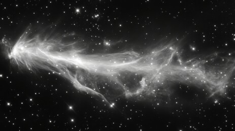 星云中的星际尘埃