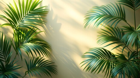 棕榈叶光影背景