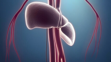 全国爱肝日养肝护肝肝脏排毒