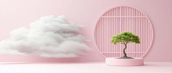 粉色背景下的盆景树