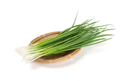 白色背景上的小葱