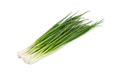 白色背景上的小葱