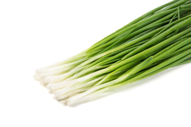 白色背景上的小葱