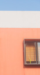 窗子里的仙人掌