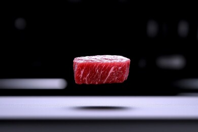 悬浮的生牛肉块