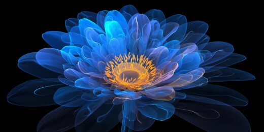蓝色花朵光感图像