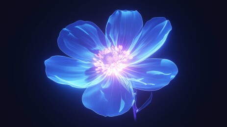 蓝色花朵光感图像