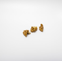 白色背景上的核桃