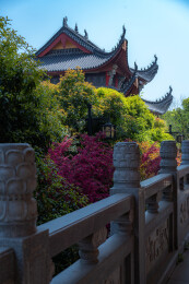 安徽池州金地藏寺随拍