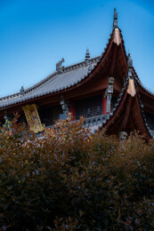 安徽池州金地藏寺随拍
