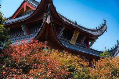 安徽池州金地藏寺随拍