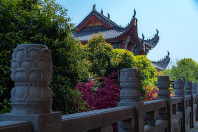 安徽池州金地藏寺随拍