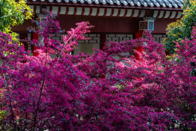 安徽池州金地藏寺随拍
