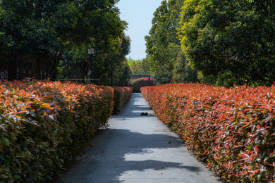 安徽池州金地藏寺随拍