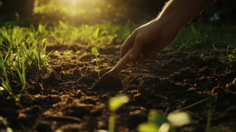 耕种希望——手握小铲在土壤中劳作