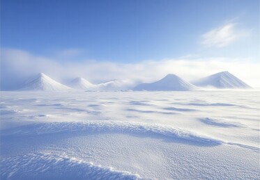 北极雪景