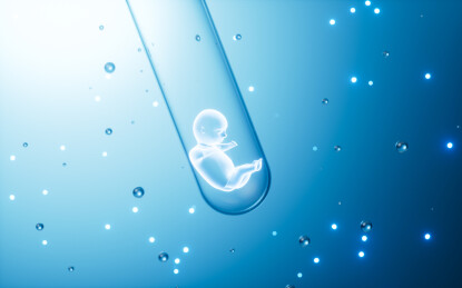 人类胚胎模型3D渲染