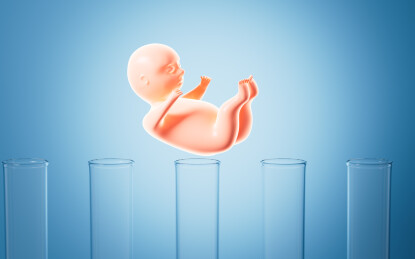 人类胚胎模型3D渲染