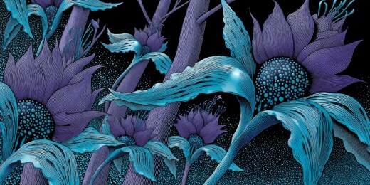 蓝紫奇幻植物插画图