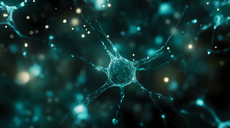 神经元与光点