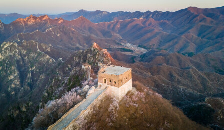 春天山花绽放中的箭扣长城