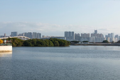 中国澳门都市风景