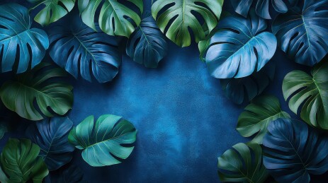 热带绿叶装点的深蓝背景